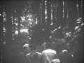 Chemin de fer Forestier d\