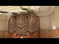 Pipe Organ Music - Londonderry Air (Danny Boy) - Alena Hall