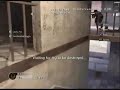 DSA COD4 Divx