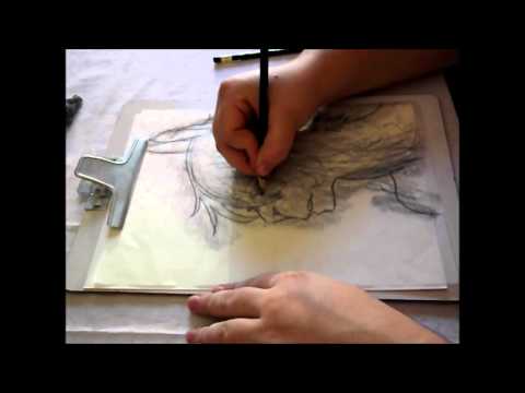 how to draw llama step by step