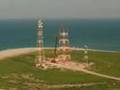 Birds of kuwait  Kubbar Island  طيور جزيرة كبرفي الكويت