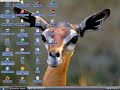 Hacer la PC mas rapida