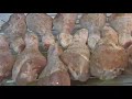 The Secret for BBQ & Roast Meat - Marinade Injectors! The Secret for BBQ & Roast Meat - Marinade Injectors!