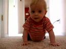 Learning to crawl