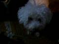DSCF0352 DSCF0352