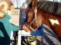 Blitz paints with Mom