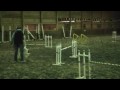 My Movie-1/1