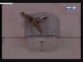NCHL Intro