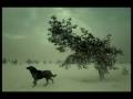 Balkansky - Silence