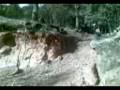 videos de Salto trocha