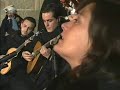 fado coimbra serenata monumental queima