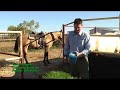 fodder-solutions.html