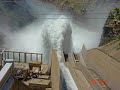 uses-of-the-rainforest.html