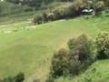 PARAPENTE TUCUMAN 2008 CAMARA AEREA