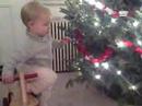 First  Xmas Tree