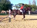 rebecca et dalex