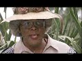 madea black movie awards