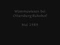 Wümmewiesen bei Ottersberg-Bhf im Mai 1989
