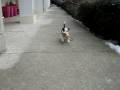 videos de Mawlch Tess playing 1