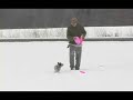 Flow QUAD Training