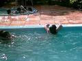 lais tentando...