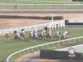 2009年12月13日 中山4R 障害未勝利 トーセンジョーカー