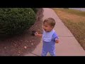 Glidecam 2000 Pro