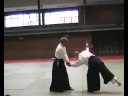 Shihonage Ushiroryokatatedori