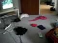 Susin und Schnien