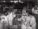Don Pedro Albizu Campos Speech #2