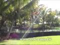 one&only_1mins_www.mle.com.tw