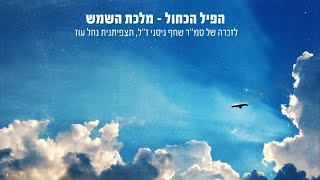 הלהקה הפיל הכחול - סינגל חדש  - מלכת השמש 