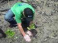 Earth Day 2010: Planting Mangroves in Malaysia