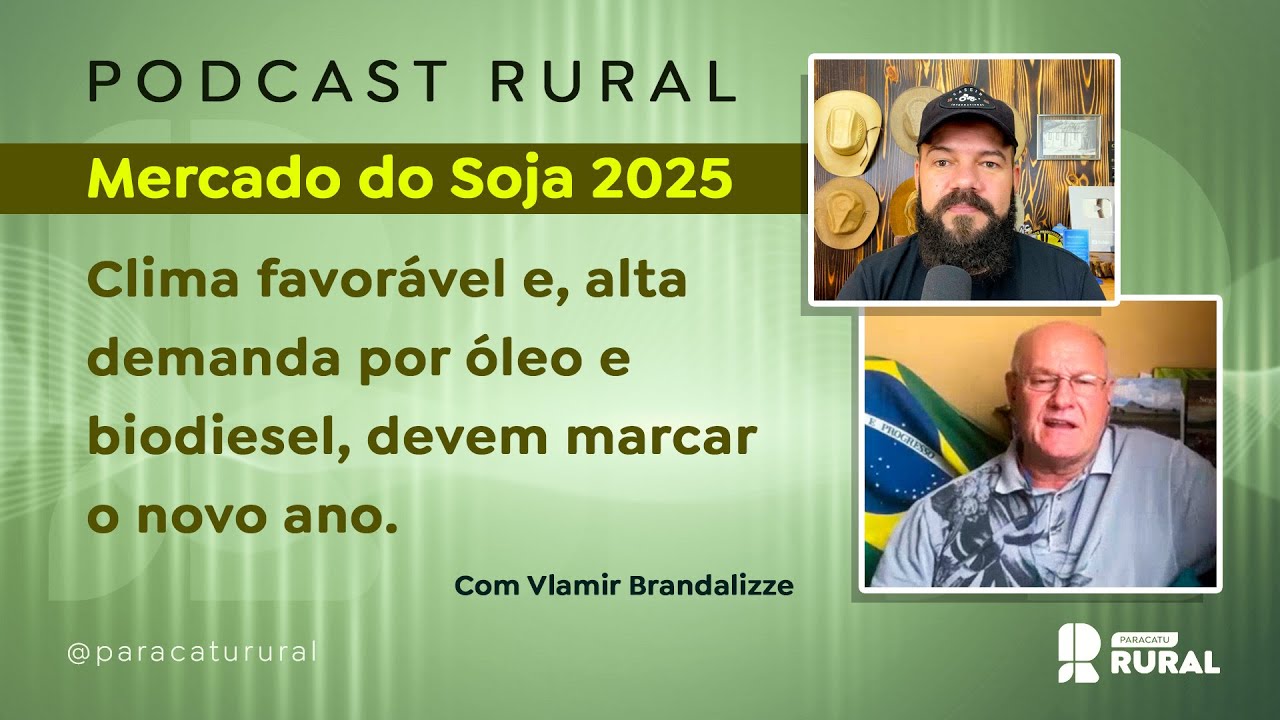 Mercado da Soja 2025 - clima favorável e alta demanda por óleo e biodiesel, devem marcar o novo ano.