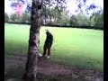 Un jarto en el ferrera