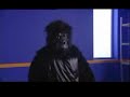 Only an Excuse Gorilla Only an Excuse Gorilla
