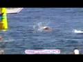 videos de Natación en O Vao (Vigo)