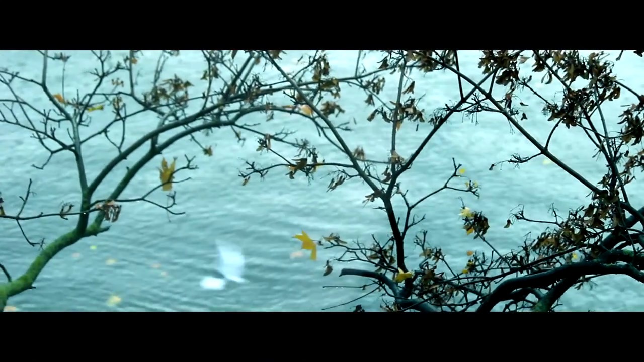 TONDO - L'adorable Leurre -  Official Teaser