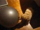 Marley and the fitball
