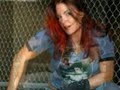 lita tribute amy dumas