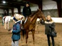 Horse Affection | Nepean Equestrian Park near Ottawa, Canada.
