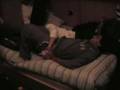 Benny & Foggy fighting