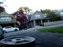 kegs & sleds 0001