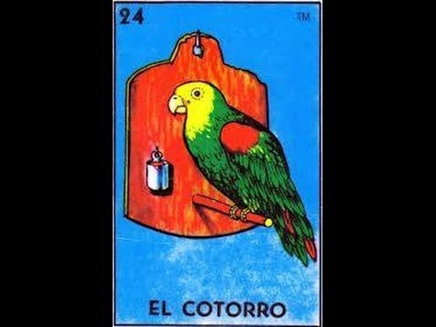 EL COTORRO - UNDER SIDE 821 FT LOCO GALLO