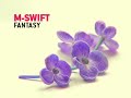 M-Swift - Fantasy [Spirit Catcher dub) [deep house]