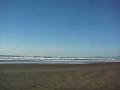videos de Zola the tiny yorkies first day at the beach in san francisco