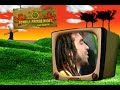 Festivaltrailer :: Sunhill Reggae Night 2008