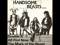 The Handsome Beasts - All Riot Now The Handsome Beasts - All Riot Now
