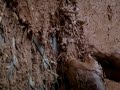 Wattle and daub- Manipur