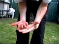 TANG - Spike Ball